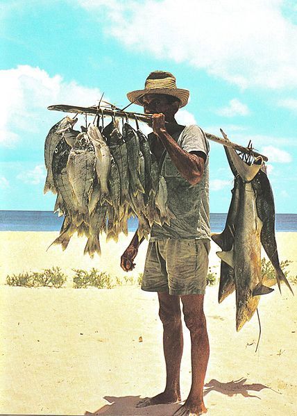 a man standing on the beach holding two dead fish in one hand and another hanging upside down