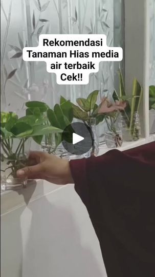 a woman is sitting in front of a mirror with plants on the counter and texting that reads rekomendas tamam has media air terbaki cek