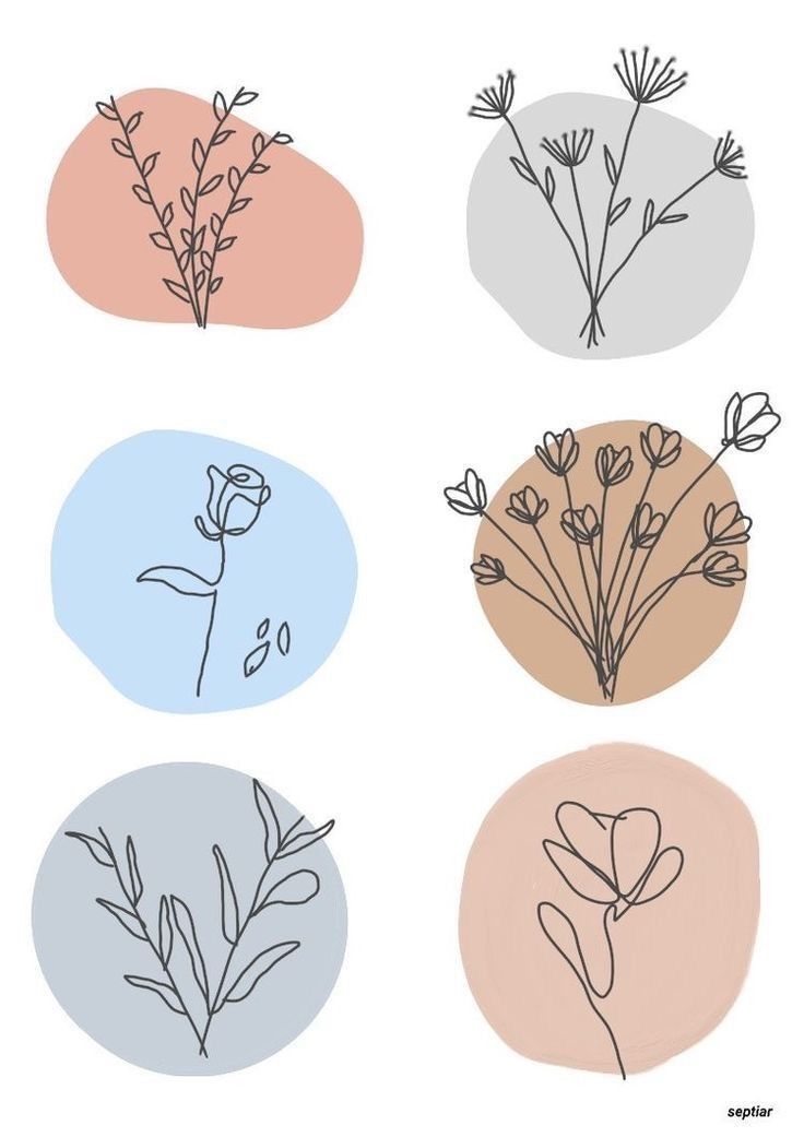 four different types of flowers in the middle of three circles with one flower on each side