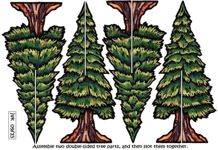 three trees are shown with the same height as each tree, and one is taller than the