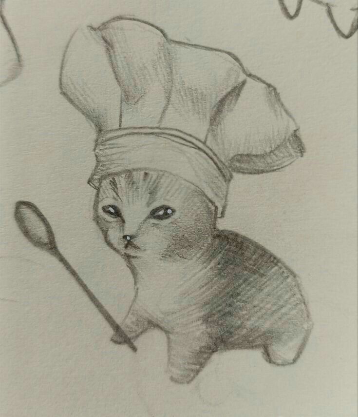 a pencil drawing of a cat wearing a chef's hat and holding a spoon