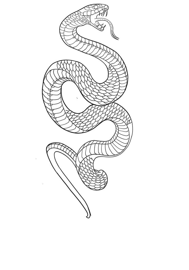 a black and white drawing of a snake