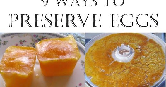 there is an image of how to preserve eggs