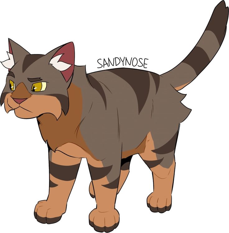 a drawing of a cat with the words sandnoose on it's chest