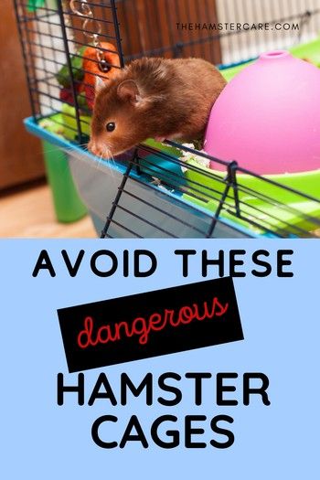 a hamster in a cage with the words avoid these dangerous hamsters cages on it