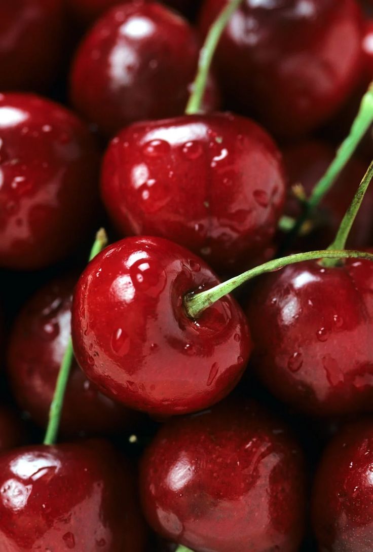 closeup of cherries with water droplets on them