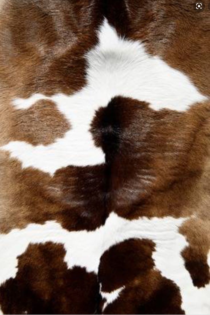 a cow skin pattern with white and brown spots on it's back side, as if from above