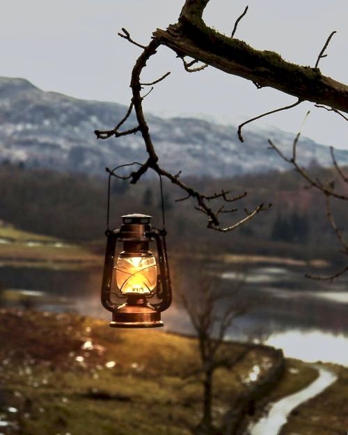 a lantern hanging from a tree branch with mountains in the background