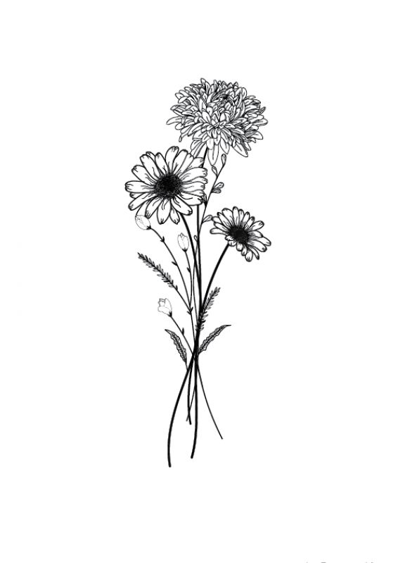 black and white drawing of daisies on a white background by tad creative