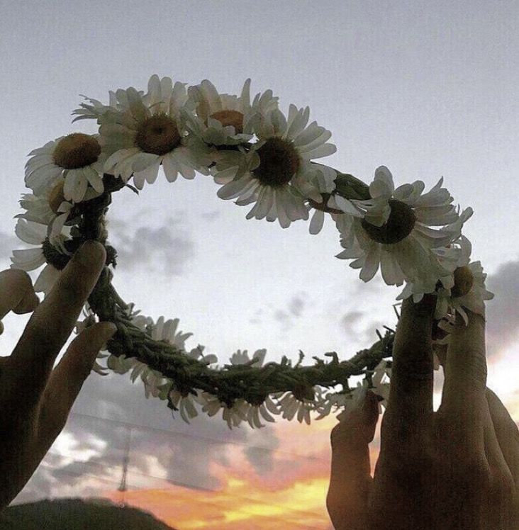 two hands holding up a wreath with daisies in the middle and an orange sky behind them