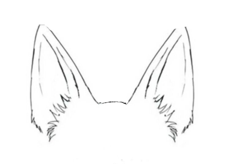 the outline of a dog's head with long ears