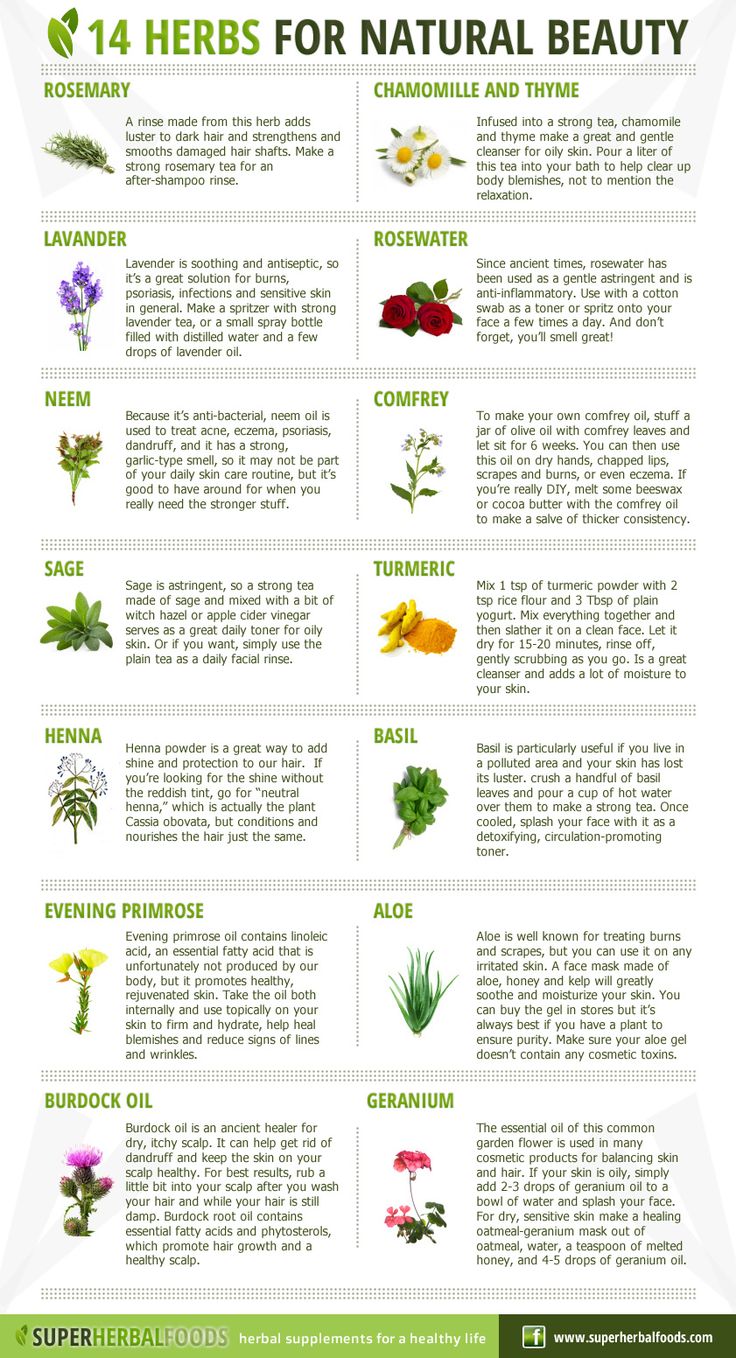 14 Herbs for Natural beauty Beauty Infographic, Benefits Of Herbs, Săpunuri Handmade, Magia Das Ervas, Natural Beauty Remedies, Natural Healing Remedies, Herbal Magic, Herbs For Health, Beauty Remedies