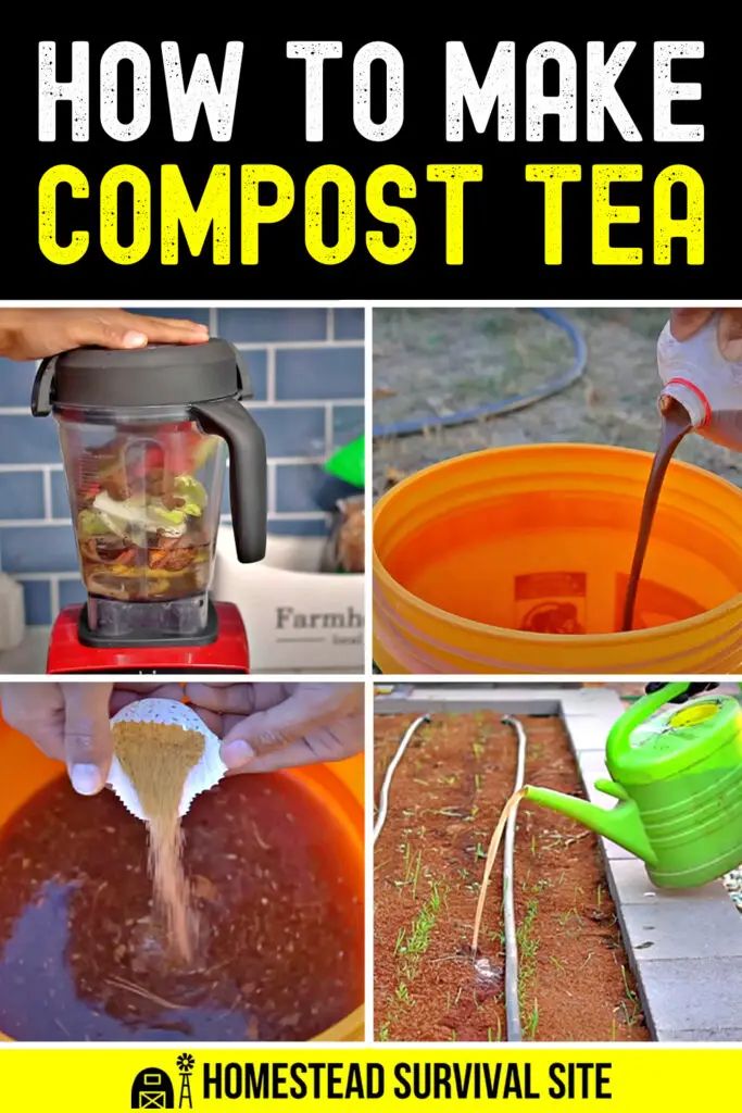 how to make composttea tea in the blender with instructions on how to use it