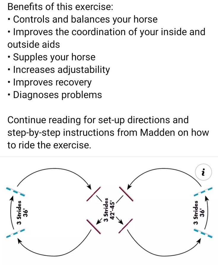 an exercise diagram with instructions for how to use the horse's body and head