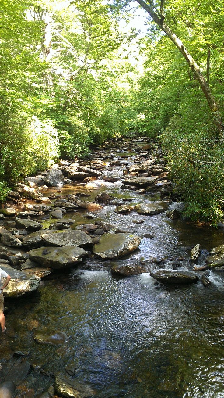 a man standing next to a river filled with lots of rocks in the middle of a forest