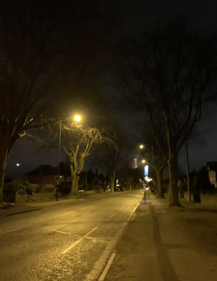 an empty street at night with no cars or people on the road and trees in the foreground