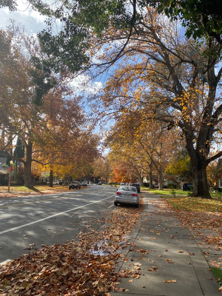 a car parked on the side of a road with lots of leaves all over it