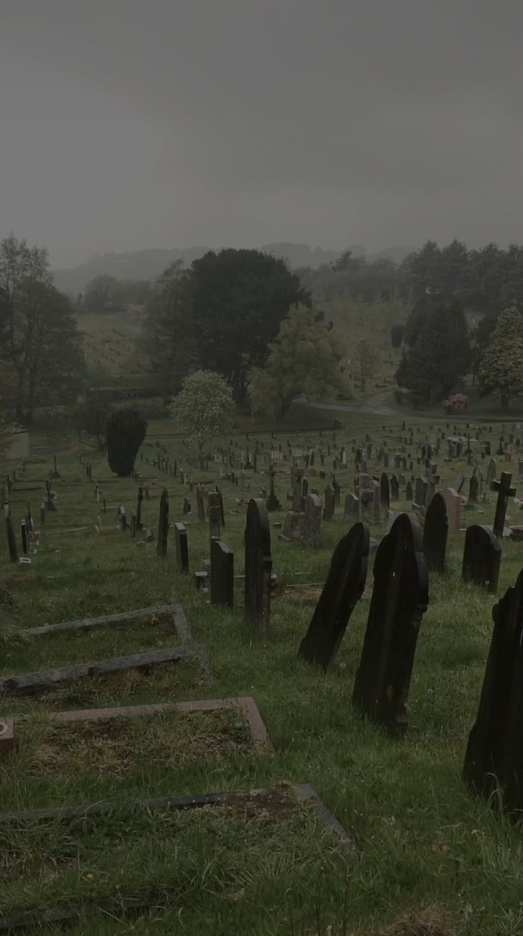 an old cemetery with many headstones and trees in the background on a foggy day