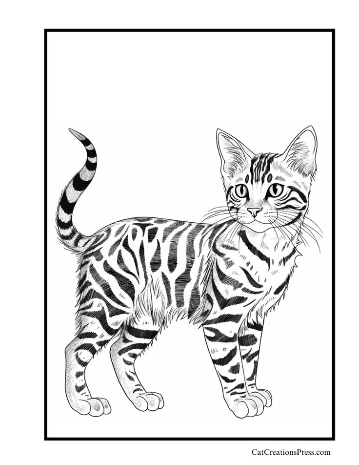 Free Bengal Cat Coloring Pages Bengal Cat Drawing, Gato Bengali, Cat Outline Tattoo, Cat Coloring Pages, Cat Outline, Cat Coloring, Cat Coloring Book, Cat Tattoo Designs, Procreate Art