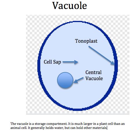 the diagram shows how to use an in - house vacuole