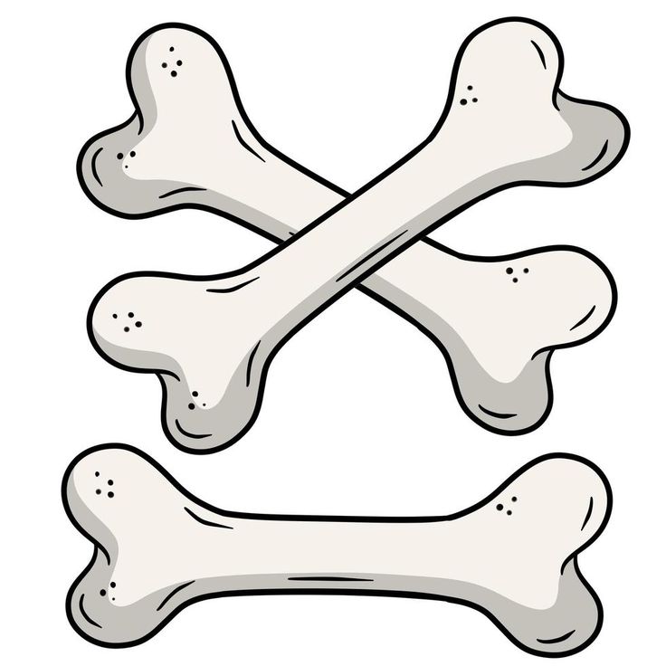 two bones and crossbones on a white background