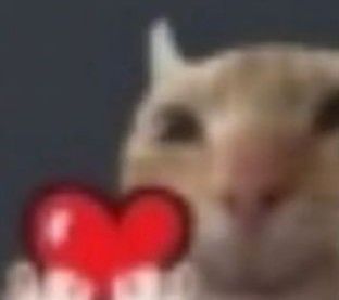 a hamster holding a heart shaped object in it's mouth