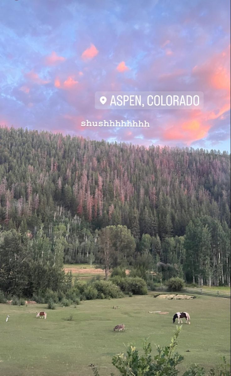 some animals are grazing in a field with mountains in the background and pink clouds overhead