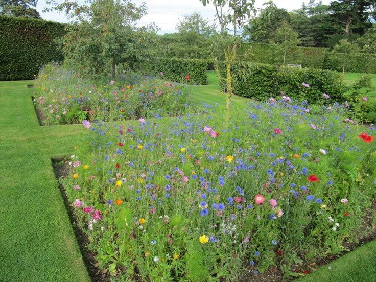 a garden filled with lots of different colored flowers and plants next to a lush green field