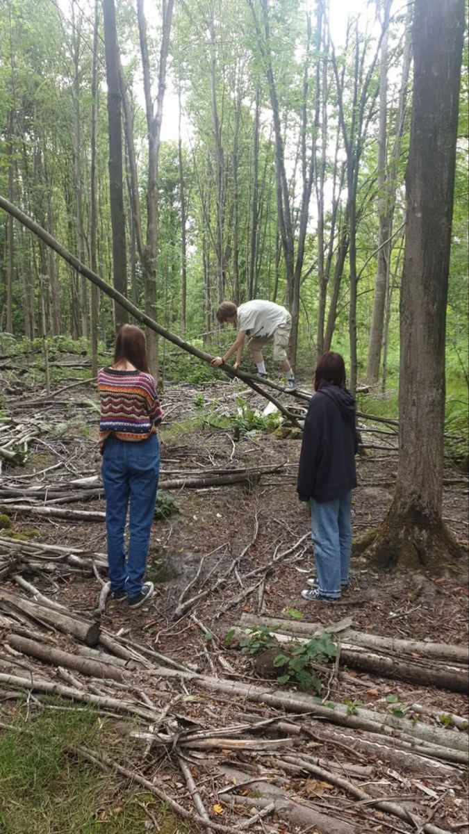 two people are standing in the woods looking at some tree branches that have been cut down