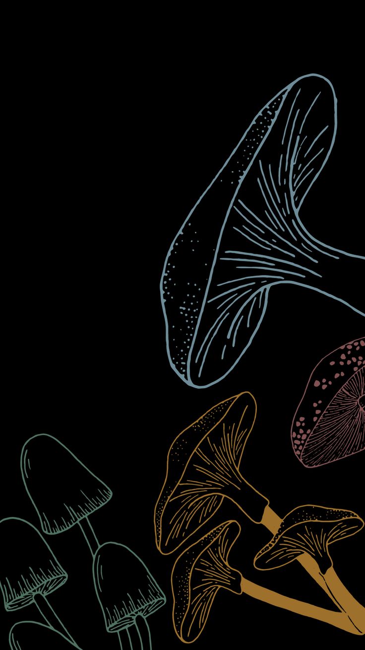 three different types of mushrooms on a black background with colored chalk drawings in the bottom right corner