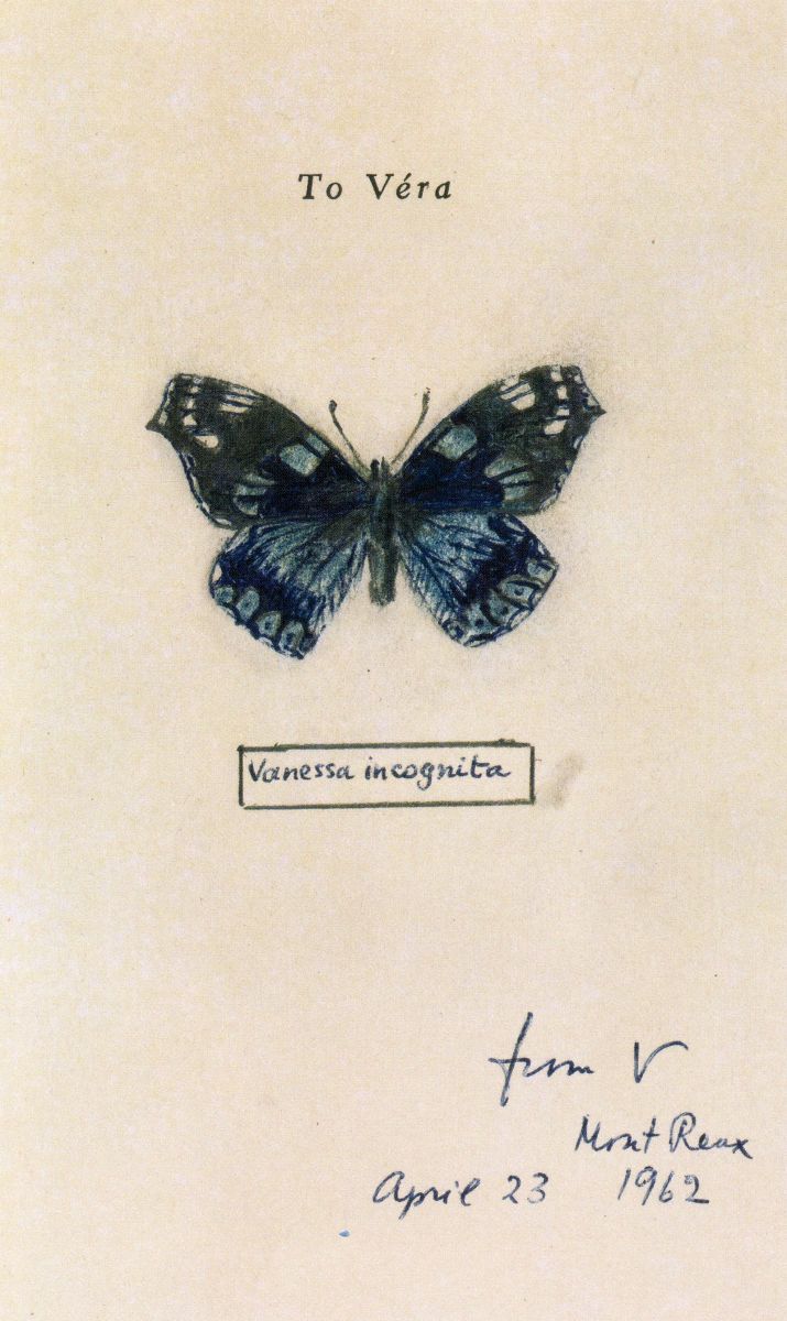 a blue butterfly with black wings on a white background that says, vienna incognite