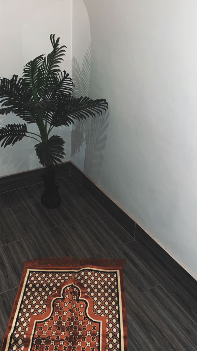 a potted plant sitting next to a rug on the floor in a room with white walls