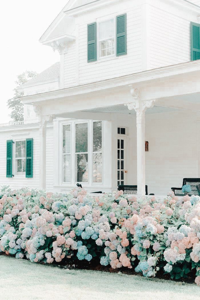 a white house with green shutters and pink flowers