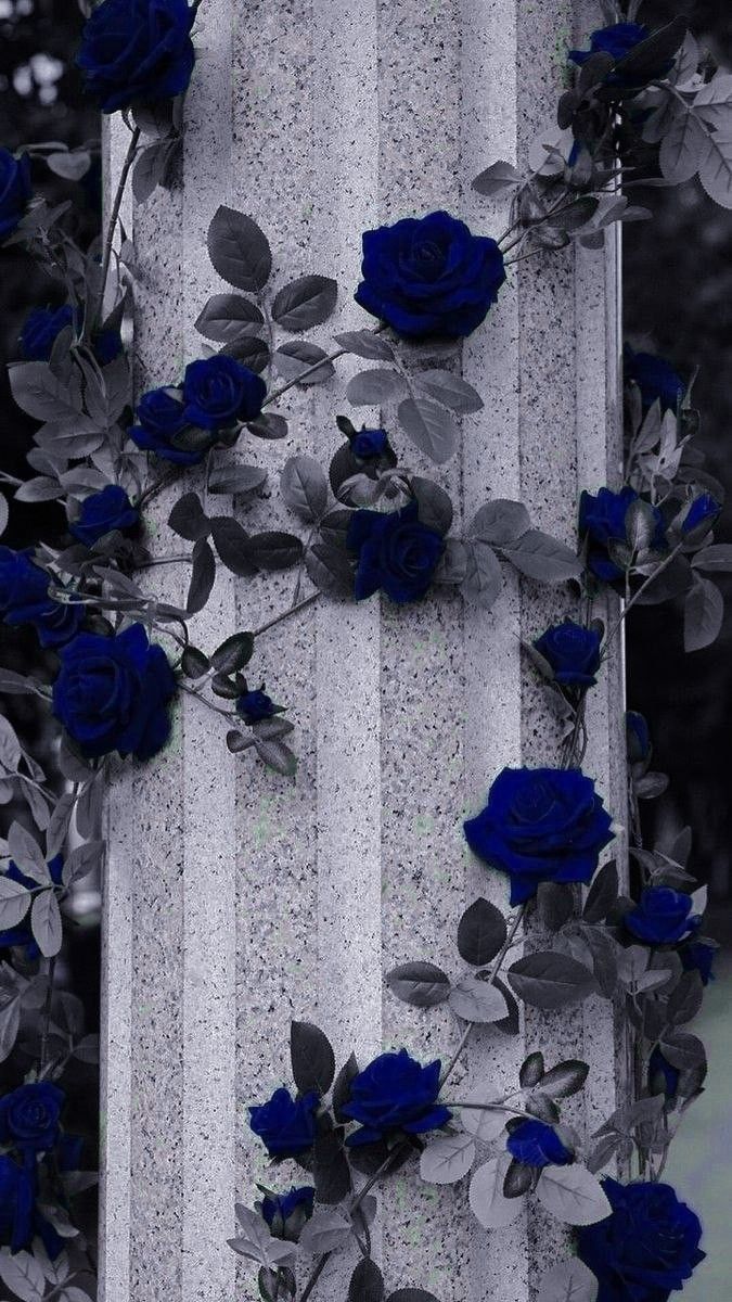 blue roses are growing up the side of a pillar