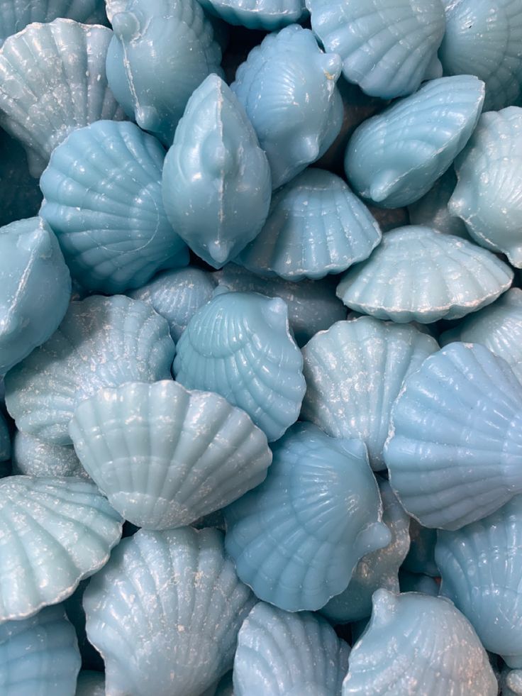 sea shells are blue and white in color