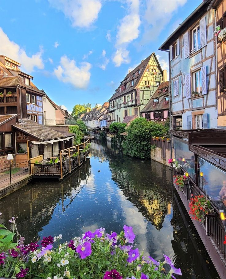 a river running through a small town surrounded by tall buildings with flowers in the foreground