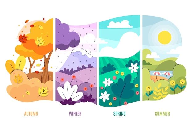 the four seasons are depicted in this graphic art work, which includes trees and flowers