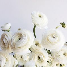 white flowers are arranged in a vase on a table