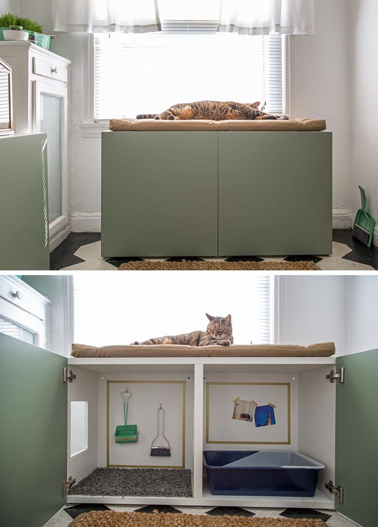 two pictures of the inside of a refrigerator with cats sleeping on top and in between