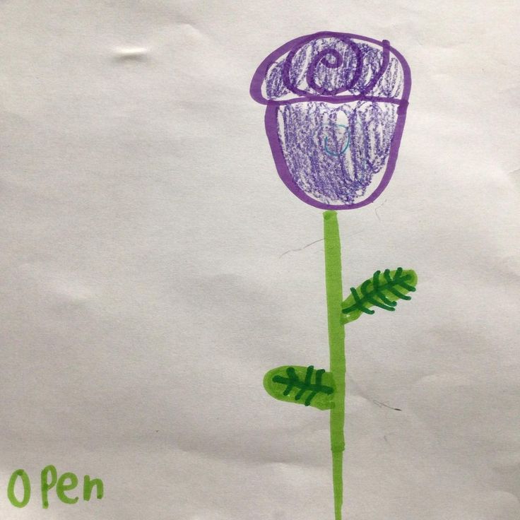 a child's drawing of a purple flower