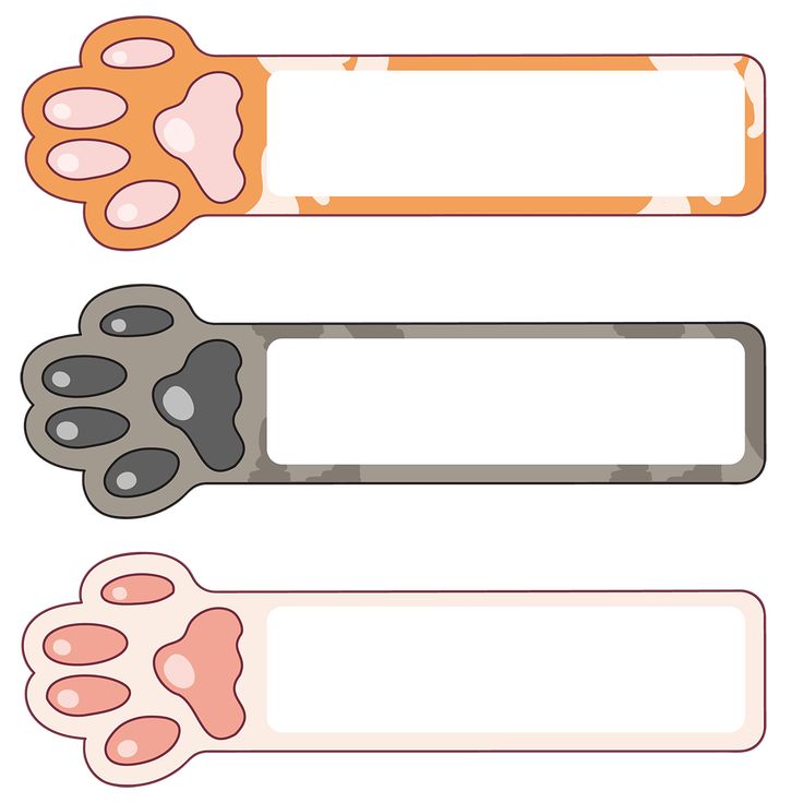 three different animal paws and labels on white background