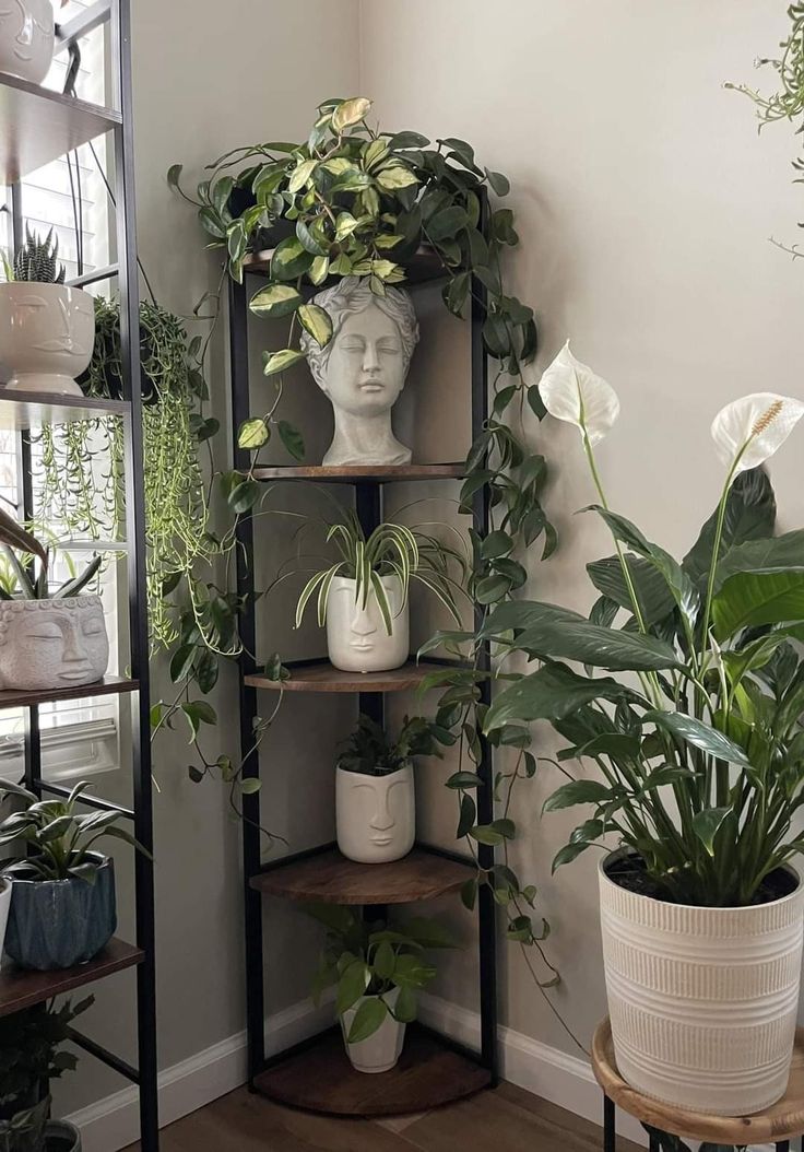 a room with plants and potted plants on shelves