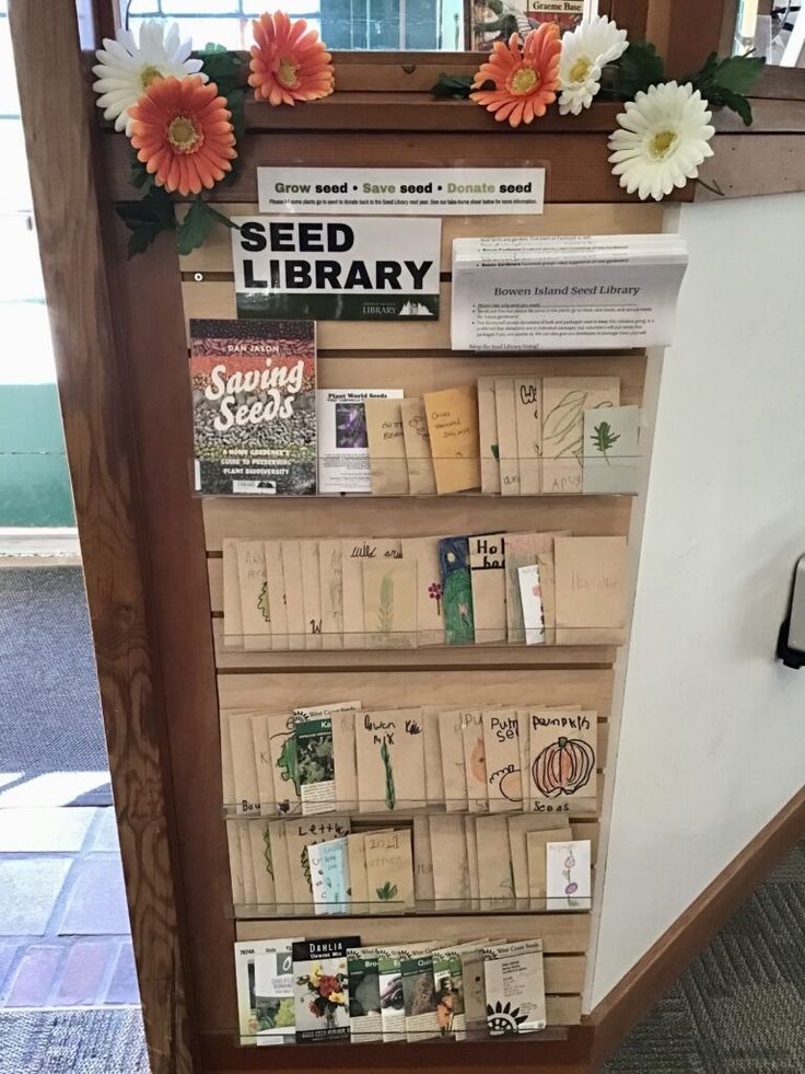 there is a shelf that has books on it and flowers hanging from the wall behind it