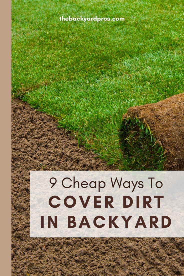 a pile of dirt and grass with the words 9 cheap ways to cover dirt in backyard