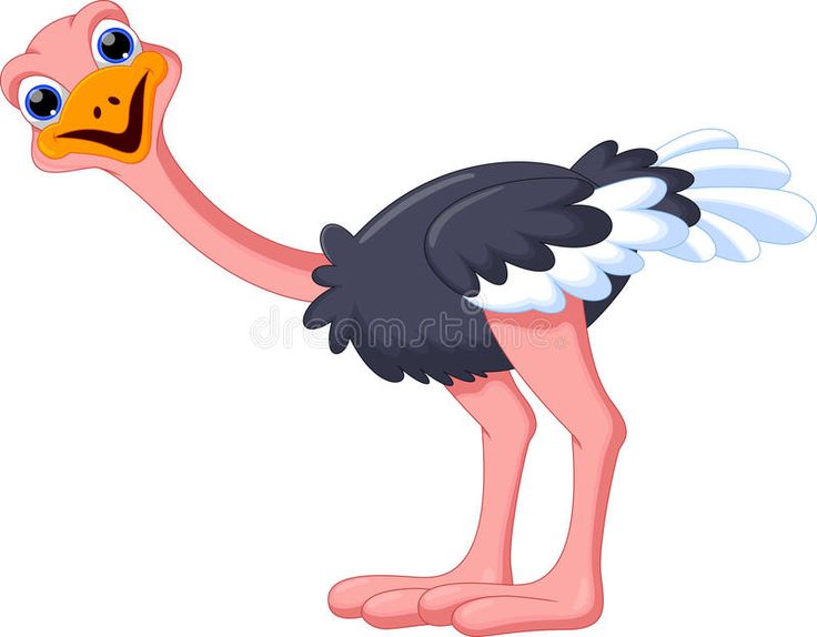 an ostrich is standing with its legs crossed