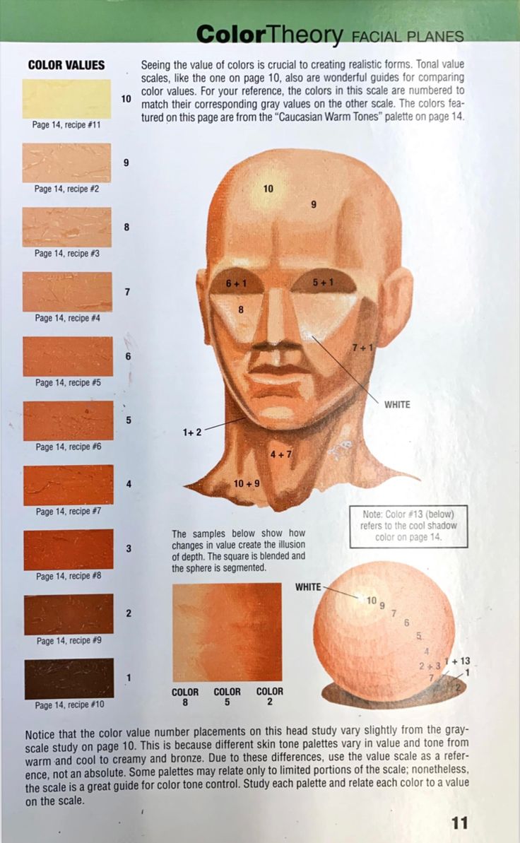 a poster showing different types of facial shapes