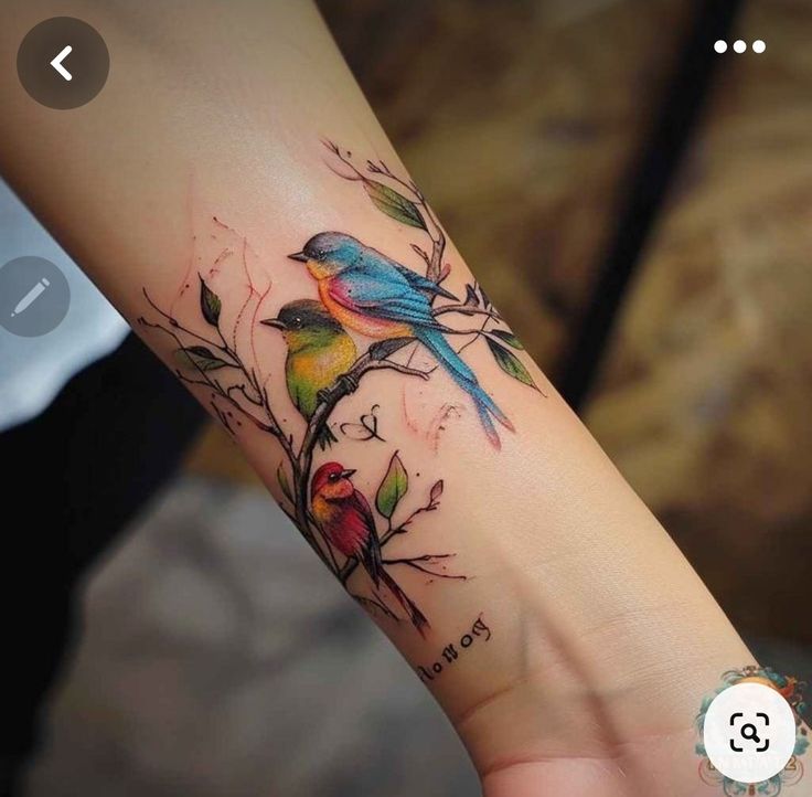 a colorful bird tattoo on the left arm and wrist, with two birds perched on branches