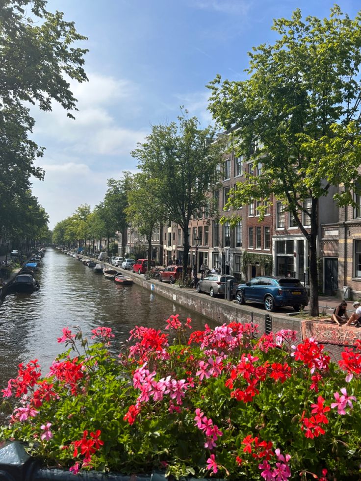 the flowers are blooming on the side of the water in front of some buildings