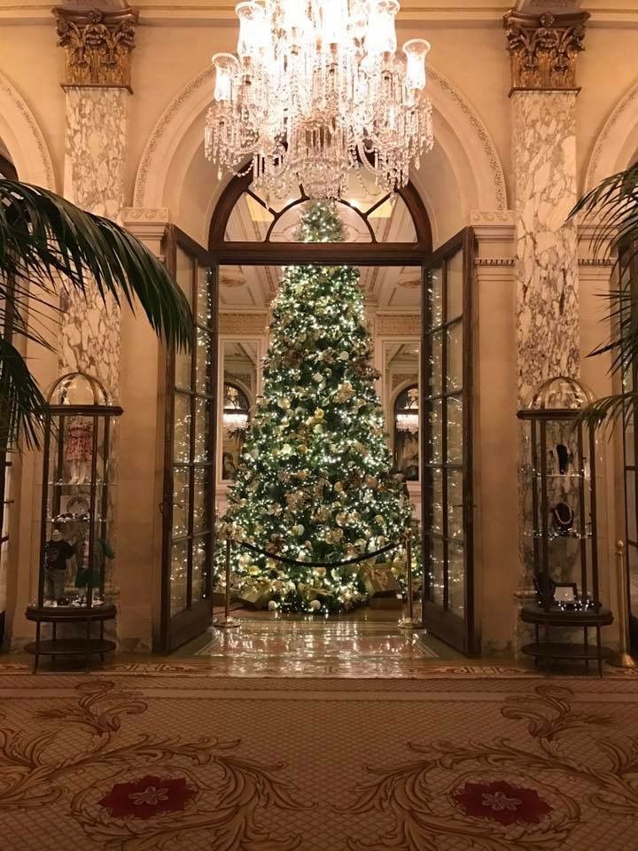 a large christmas tree is in the middle of a room with chandeliers and windows