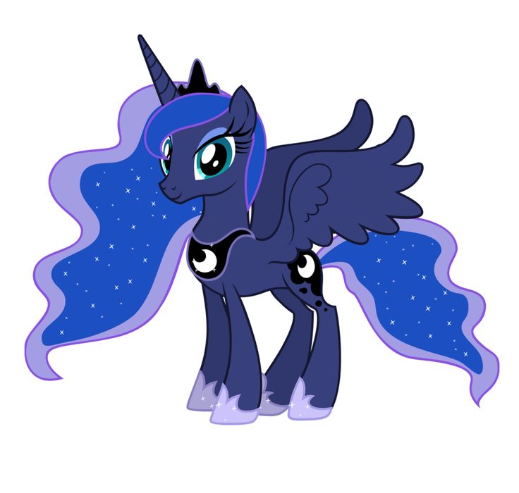 an image of a pony with blue hair and stars in the sky on it's face